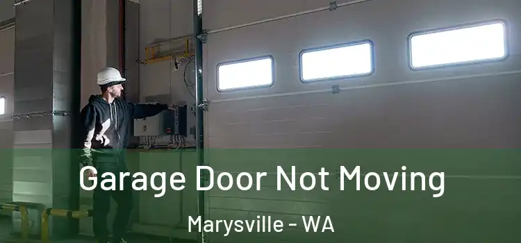  Garage Door Not Moving Marysville - WA