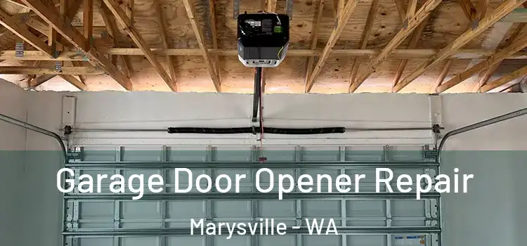  Garage Door Opener Repair Marysville - WA