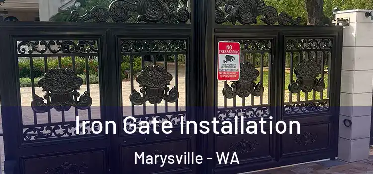 Iron Gate Installation Marysville - WA
