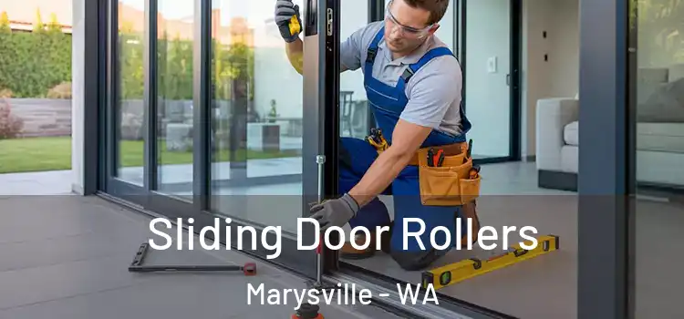 Sliding Door Rollers Marysville - WA